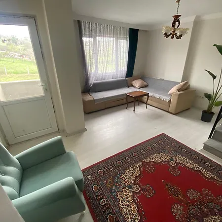 Daily Airport Apartament *